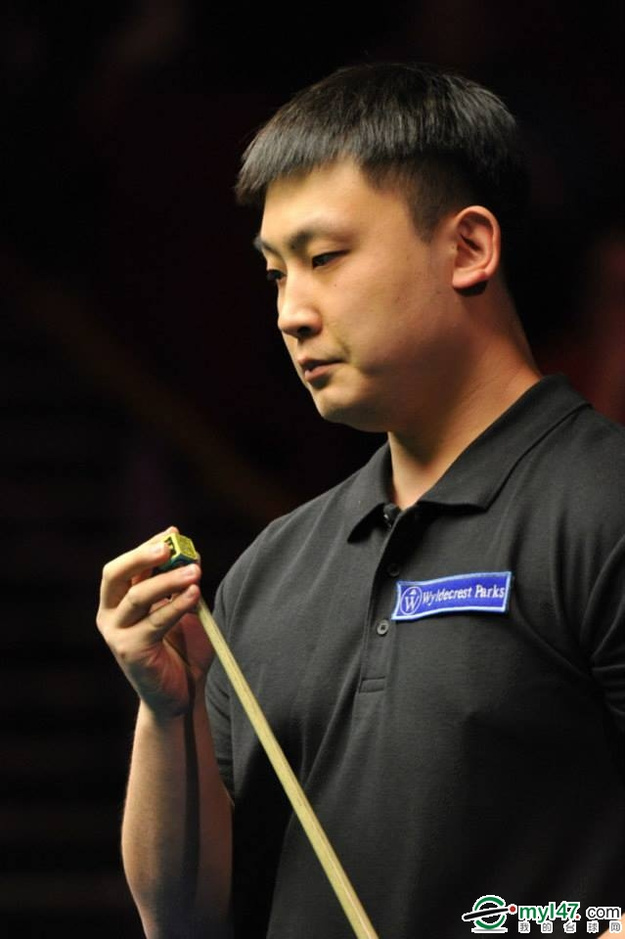 老鹰状元郎 老鹰状元郎